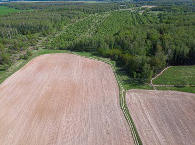 Kırsal alanların, tarlaların ve ormanın havadan görünüşü. Ormanın ve ekilebilir arazinin insansız hava görüntüsü. Bahar veya güneşli bir gün..