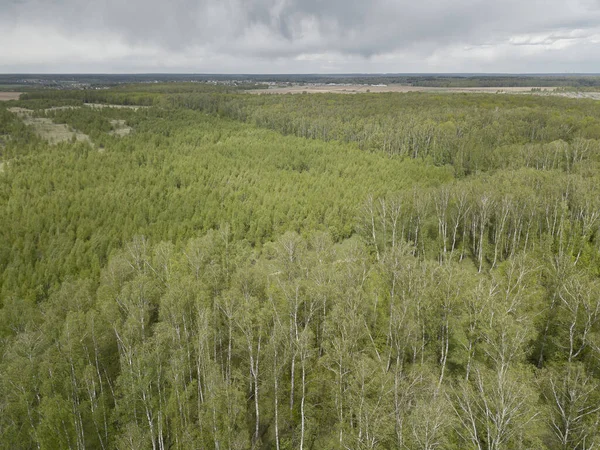 Endless forest land under grey sky with many clouds. Tranquil landscape with green and grey colors.Aerial perspective view to horizon. Summer or spring day.