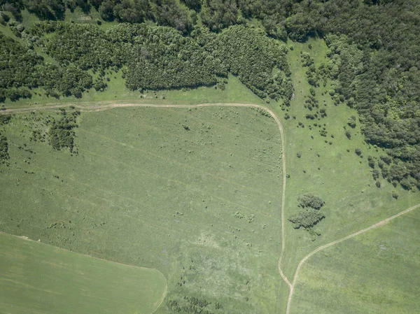 Veduta Aerea Del Bosco Esterno Con Sentiero Durante Giornata Estiva — Foto Stock