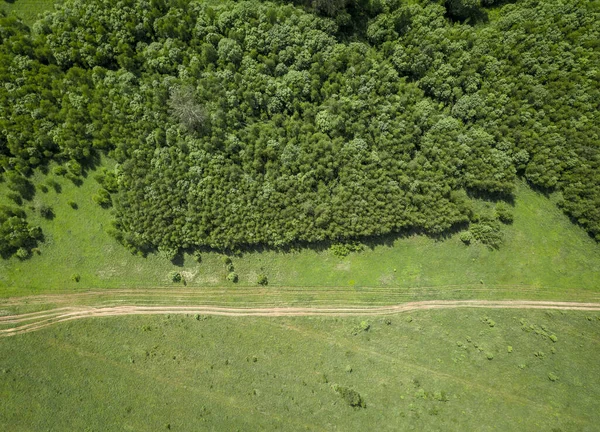 Aerial view of the outer wood with footpath at summer day. Edge of the forest and field with green grass and track. Top down drone air view. Nature terrain looks like texture.