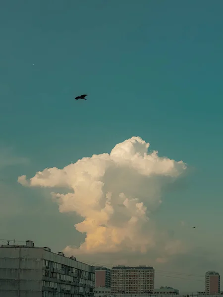 Satu Cumulus Awan Dan Burung Gelap Atas Pemandangan Kota Melawan — Stok Foto