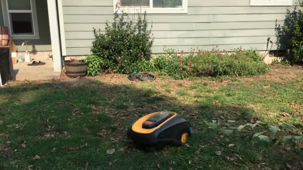 Albany Oregon Circa 2020 Battery Powered Robot Lawn Mower Cutting — Stock video