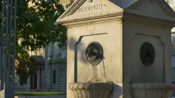 Stone Old Public Fountain Fresh Water Budapest Hungary — Stock Video