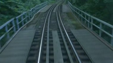 Öğleden sonra zaman ormandaki bir köprü üzerinden demiryolu.