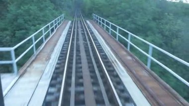 Son araba görünümünü geçen bir köprü ve orman railrod.
