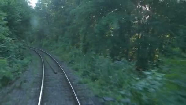 Vista Del Ferrocarril Través Del Bosque Atardecer Rumania — Vídeos de Stock