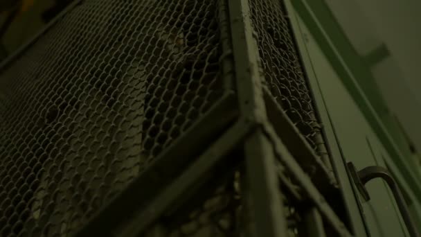 Темном Старом Здании Спускается Винтажный Лифт — стоковое видео