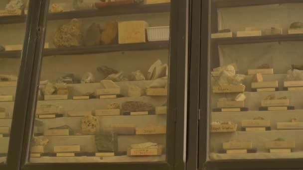 Mnoho Hornin Minerálů Které Jsou Vystaveny Geologické Skříni — Stock video