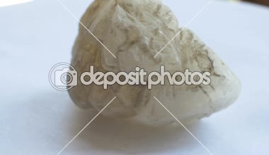 Şap mineral rock örnek görünümünü.