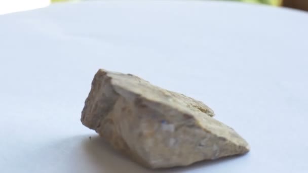 Vista Muestra Roca Mineral Caliza — Vídeos de Stock