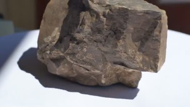 Ansicht Der Geologischen Gesteinsprobe Aus Jaspis — Stockvideo