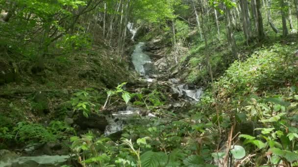 Schöner Wasserfall Wald Der Karpaten — Stockvideo
