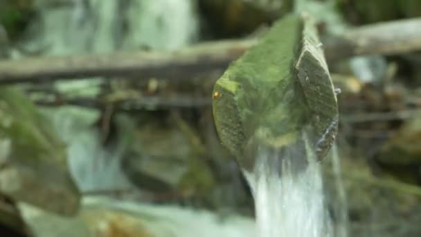 Kallt Vatten Våren Rinner Genom Trä Rännstenen — Stockvideo