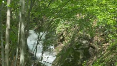 Karpat Dağları'ndaki bir vadide akan hızlı su akıntısı.