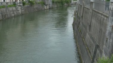Ljubljanica Nehri 'nin beton bankaları, Slovenya.