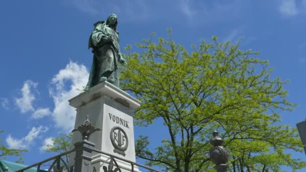 Sommer Ansicht Von Wodnik Der Stadt Ljubljana Slowenien — Stockvideo