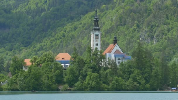 View Island Slovenian Lake Bled Church — Stock Video