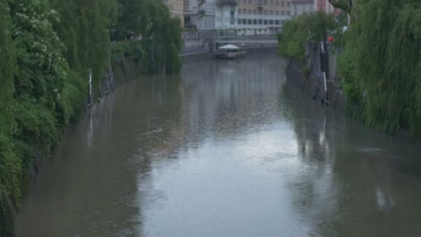 Beskåda Regnar Över Ljubljanica Flod — Stockvideo