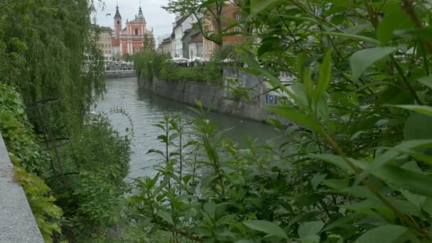 Blick Auf Den Größten Fluss Ljubljana Hauptstadt Sloweniens — Stockvideo