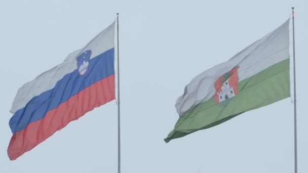 View Slovenia Ljubljana City Flags Wind — Stock Video