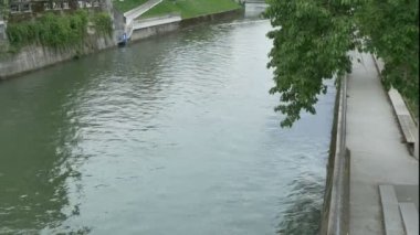 Ljubljanica Nehri 'nin beton bankaları, Slovenya.