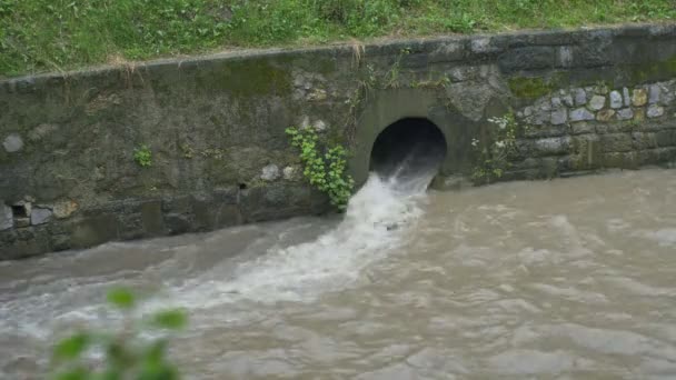 View Fast Water Torrent Channel Sewer Rain — Stock Video