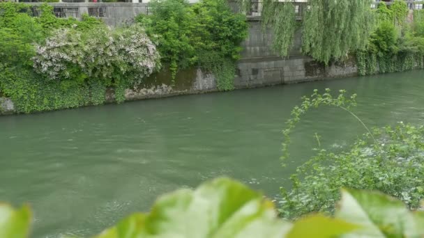 Mening Van Sloveense Ljubljanica Rive Ljubljana — Stockvideo