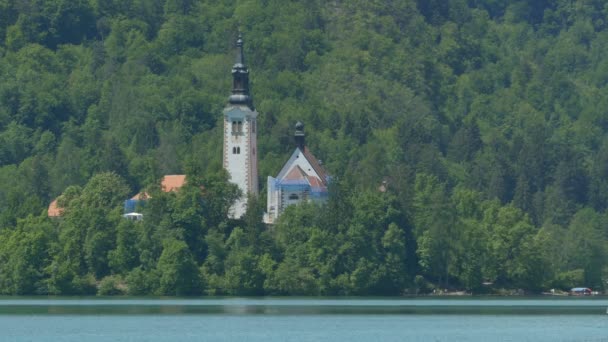 ブレッド湖のメアリー教会の仮定の眺め スロベニア — ストック動画
