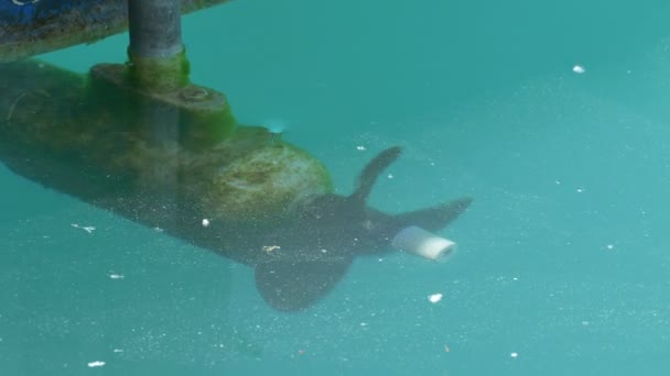 Vue Une Hélice Nautique Tournant Sous Eau — Video