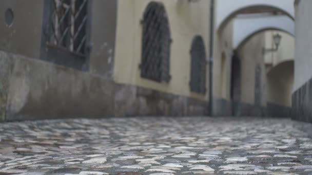 Femme Marchant Sur Vieux Pavé Pavé — Video