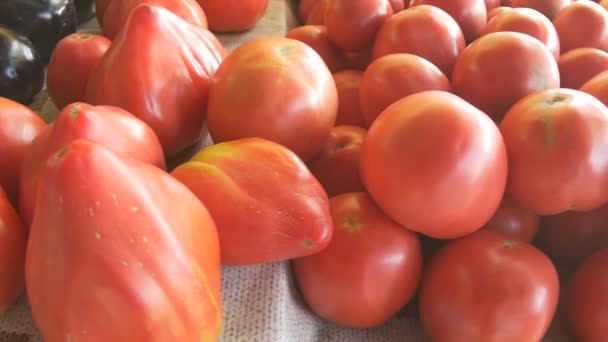 Zicht Rode Biologische Tomaten Tafel Koop Lokale Markt — Stockvideo