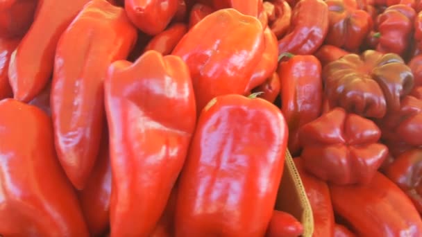 Vue du poivre frais bio sur le stand du marché au marché fermier local .