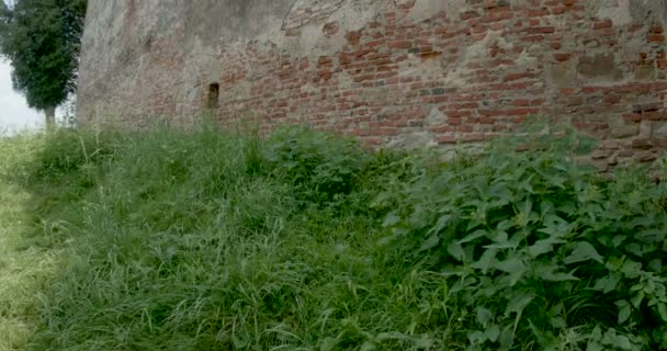 Blick Auf Eine Sächsische Burg Ruinen — Stockvideo