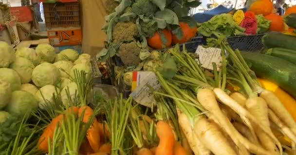 Вид Свежие Экологически Чистые Овощи Продажи Местном Фермерском Рынке — стоковое видео