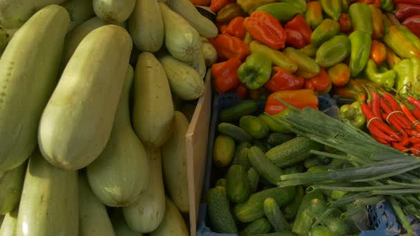 Utsikt Över Färska Ekologiska Grönsaker Bord Lokal Marknad — Stockvideo