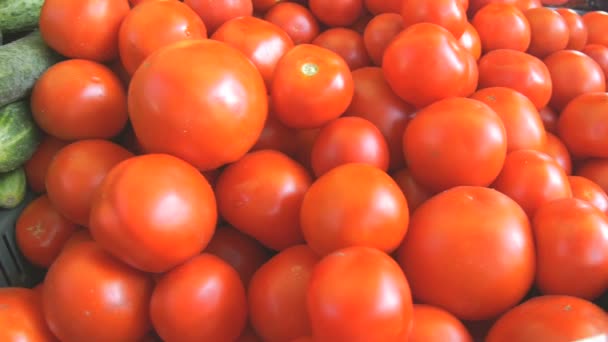 Кучи Органических Овощей Местном Рынке — стоковое видео