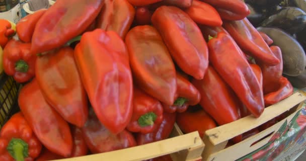 Vista Pepperoni Orgânico Berinjelas Para Venda Mercado Local — Vídeo de Stock