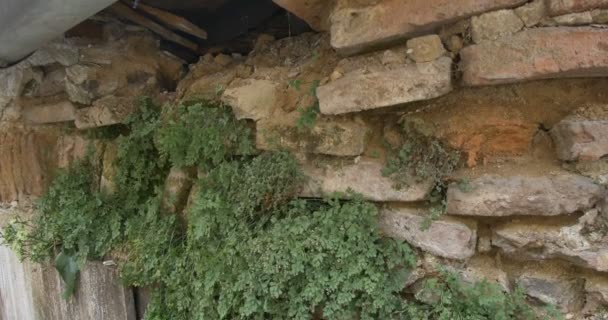 Vista Antigua Casa Medieval Dañada Pared Ladrillo — Vídeos de Stock