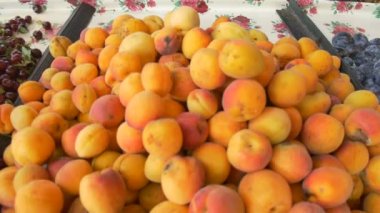 Yerel pazarda satılık taze kayısı görünümü.