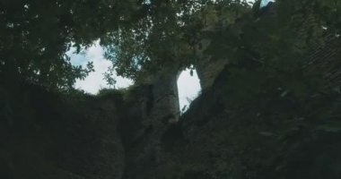 Bir şatonun duvarları üzerinde vahşi doğa büyür..