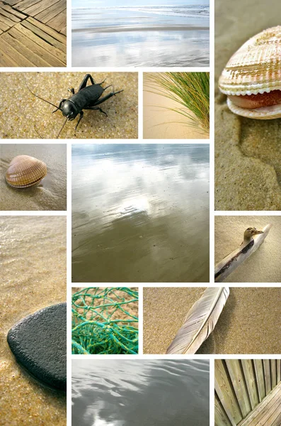 Wiele Obrazów Kolaż Temat Beach — Zdjęcie stockowe