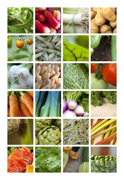 Primer Plano Las Verduras Los Puestos Mercado —  Fotos de Stock