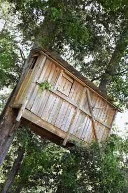 Ahşap kulübe ve bir park Oaks'da