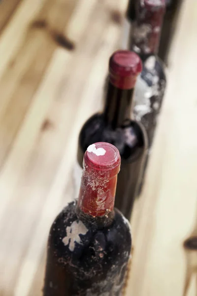 Tasting Room Winery Bordeaux France — Stock Photo, Image