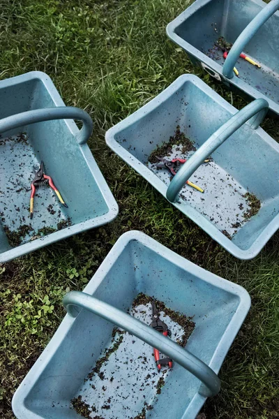 Après Récolte Des Paniers Des Ciseaux Sont Sur Herbe — Photo