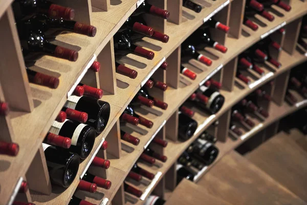 Downstairs in a French winery cellar in Bordeaux