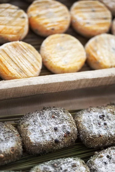 Various Goat Cheeses Market Stall — Stock Photo, Image