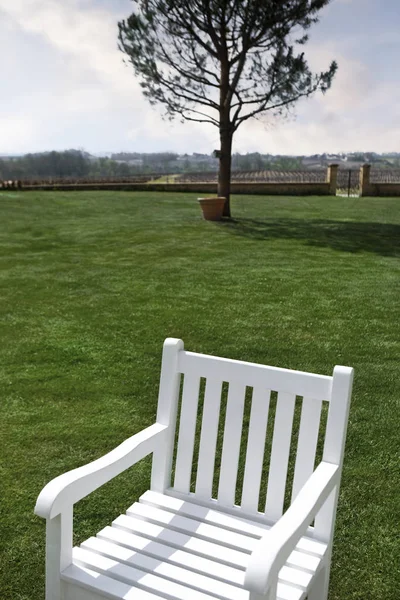 Wooden Armchair Green Facing Vineyards France — Stock Photo, Image