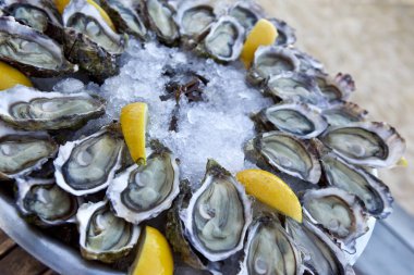 İstiridye buz ve limon