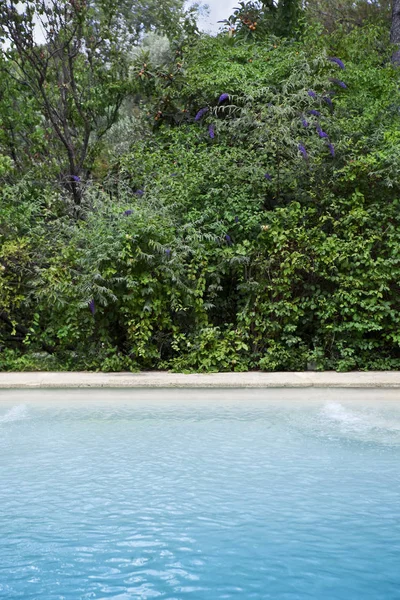 背景中的游泳池和绿色花园 — 图库照片